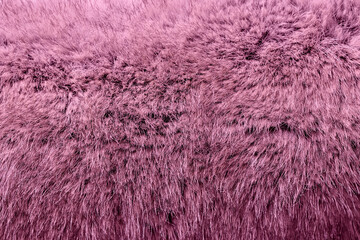 close-up of pink fur