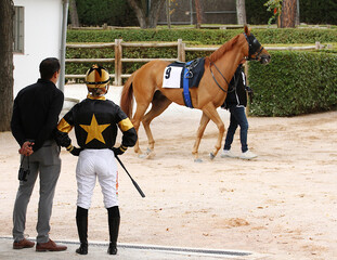 Jockey, caballo y preparador en ensilladero de hipódromo antes de la carrera