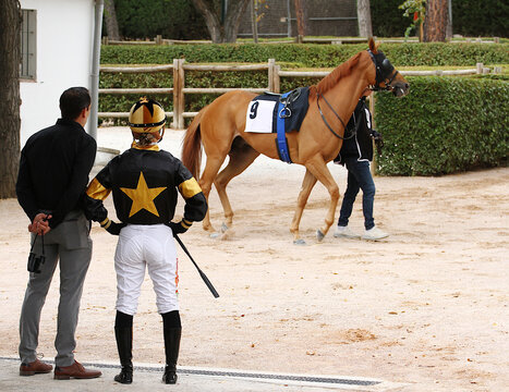 Jockey, caballo y preparador en ensilladero de hip&oacute;dromo antes de la carrera