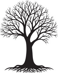 Fototapeta premium Bare tree silhouette with exposed roots on transparent background