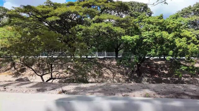 wide perspective of Guaire River featuring ancient tree roots and concrete canalization, reflecting the environmental reality of the Venezuelan capital.