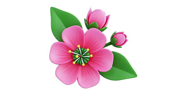 3D Pink Flower and Buds with Green Leaves