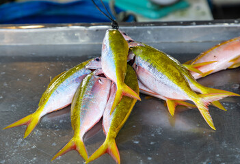 A bunch of fish are on a table