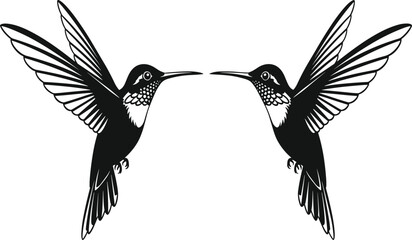 Two hummingbirds flying face to face silhouette, symmetrical bird wings spread, wild nature animal icons, cad drawing flat vector illustration, isolated white © Bidhanchandra