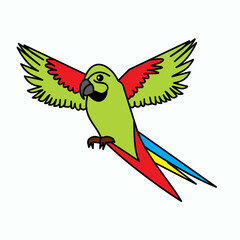 Fototapeta premium parrot p for parrot bird drawing flying clipart element