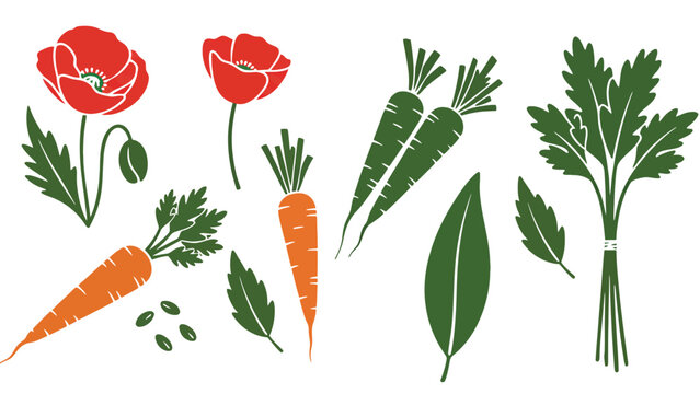 Vegetable icon set including carrots and herbs with poppy flowers