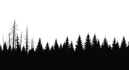 Trees silhouette set with dead and evergreen firs against white background simple design featuring silhouettes, forest, fir with landscape and nature elements for environment, minimalist projects,