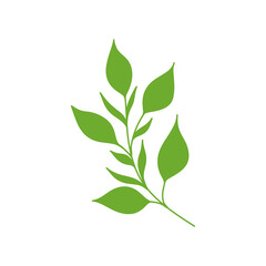 Fototapeta premium Fresh Green Leaves Stem Botanical Vector