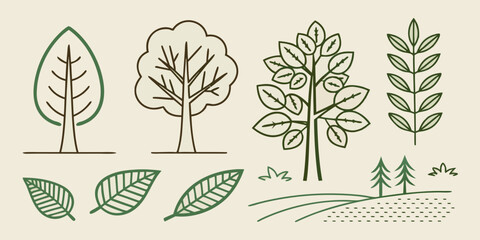 A detailed illustration of various types of trees and their leaves Vector ©  MST RABEYA  BEGUM