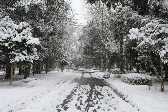 Empty snowy walkway with park benches and footprints in a quiet Japanese garden