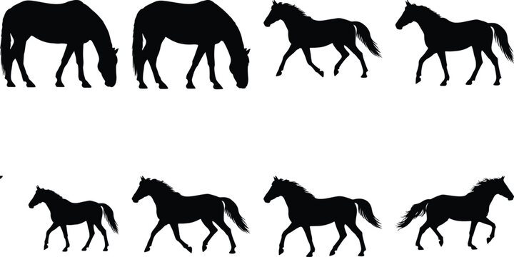 Various horse silhouettes including grazing and running