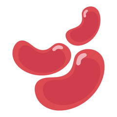 Red kidney beans vector illustration