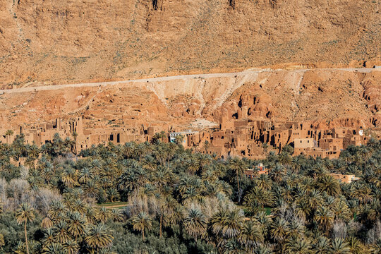 A village of earthen buildings nestled among palm trees at the base of a rocky cliff. Marrakech region, Morocco