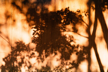 natural tree shadow on orange concrete wall background