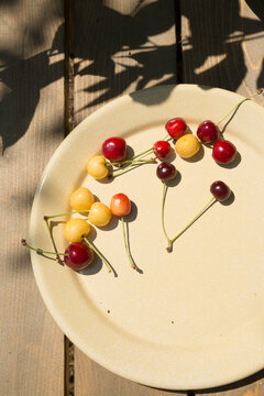 Minimalist still life of couple yellow, red cherries with stems on a bright yellow plate in natural sunlight with hard shadows