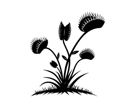 Black silhouette of Venus Flytrap carnivorous plant icon on white background.