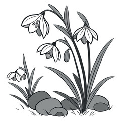 An elegant line drawing of two flowers growing seed.