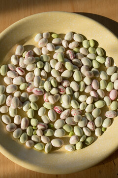 Freshly Shelled Mixed Beans on a Yellow Plate