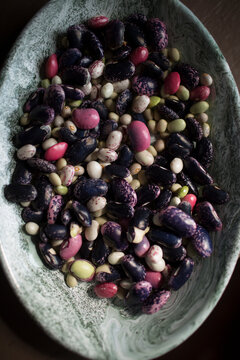 Heirloom Scarlet Runner Beans in a vintage enamel bowl for a community seed library and biodiversity preservation concept