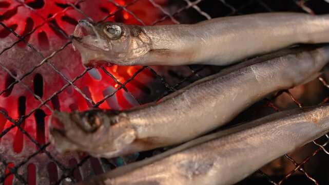Whole shishamo fish grilling over charcoal fire close up.