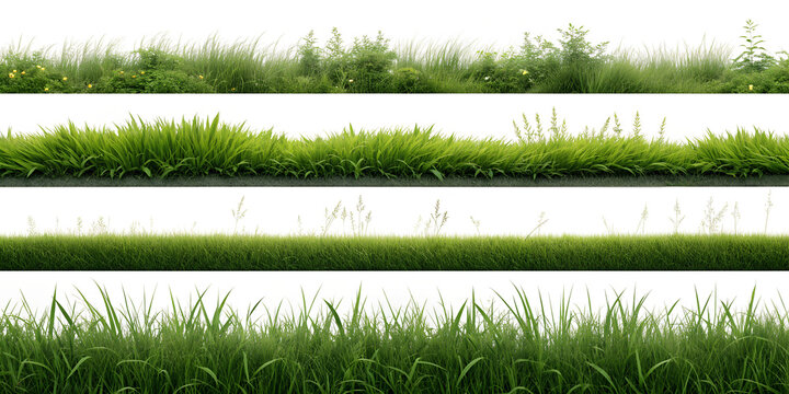 Collection of green grass borders, seamless horizontally, isolated on white background. 3D render. 3D illustration.
