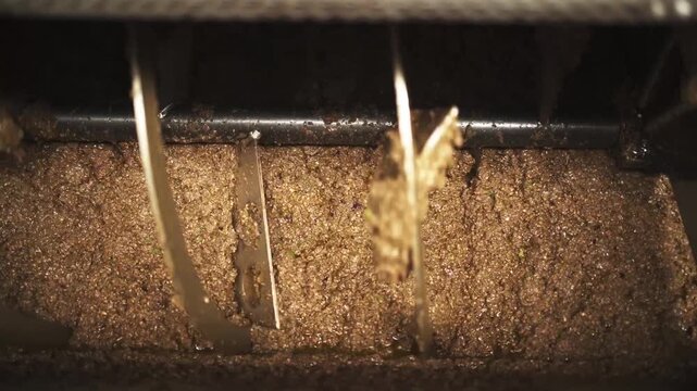 Olive paste releasing oil streams during industrial processing in Portugal