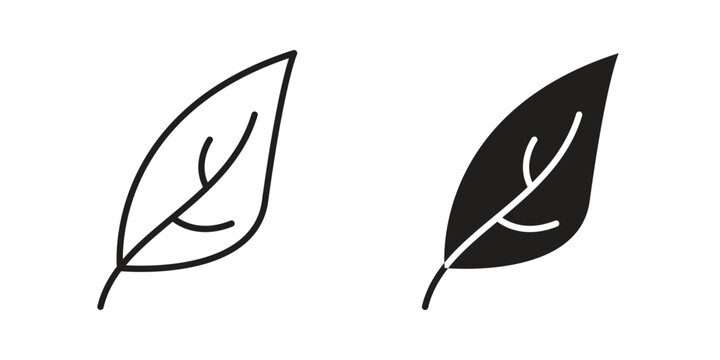 Leaf icon. linear style sign for mobile concept and website ui design
