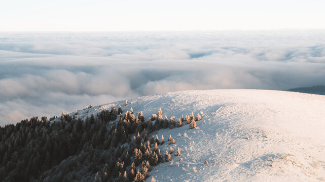 View of sunlit snow blankets the rolling hills, meeting a sea of clouds under a pale sky, contrasting the dark evergreen forest, Stosswihr, Grand Est, France.