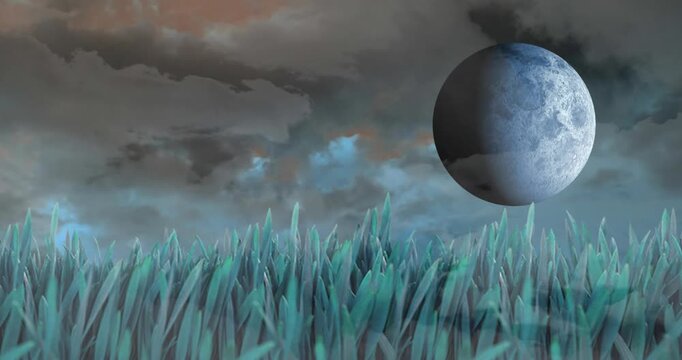 View of beautiful landscape with grass, moon and clouds in the sky