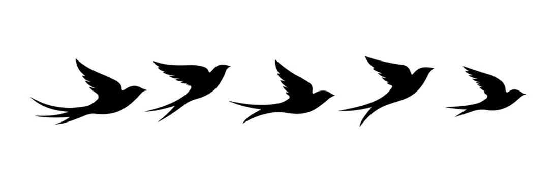 Swallow, martlet. Clear white sky, birds in a natural habitat. Barn swallow flying, wings spread. Hirundo rustica on white background. Wildlife. Tattoo design, watercolor art, set, wild animals, free