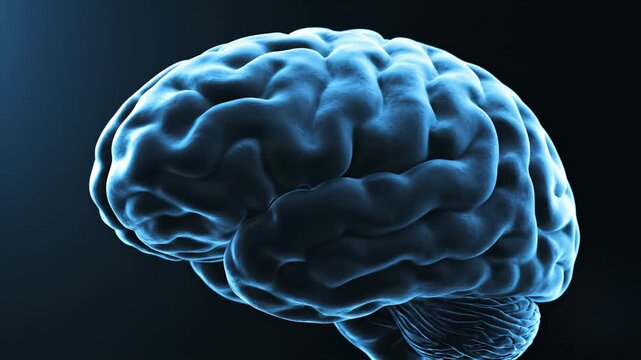 Blue brain illustration against black background