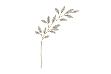 Fototapeta premium Watercolor botanical branch with leaves on transparent background