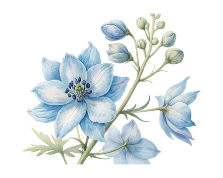Watercolor Larkspur Bloom, Soft Blue Floral Vector Illustration Isolated on White