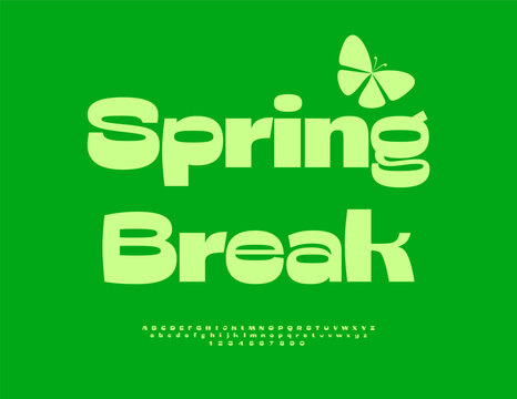 Vector Joyful Card Spring Break. Elegant Green Font. Typographic Stylish Alphabet  Numbers and Symbols.