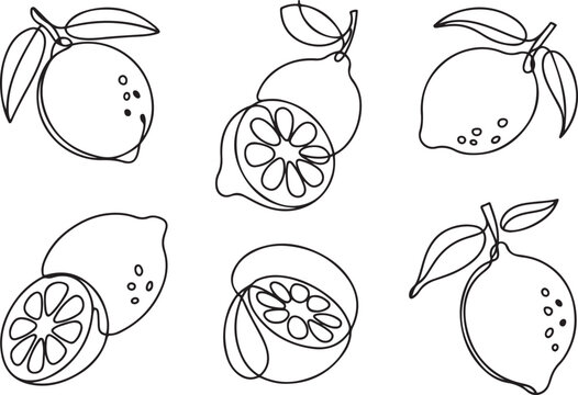 Lemon continuous one line drawing set isolated.one line icon illustration with white background