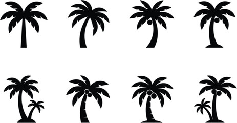 Palm Tree Silhouette Set Tropical Island Beach Nature Black Vector Illustration Collection © Hosne