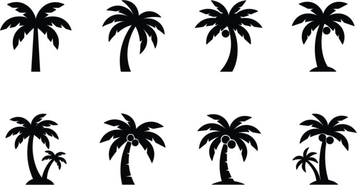 Palm Tree Silhouette Set Tropical Island Beach Nature Black Vector Illustration Collection