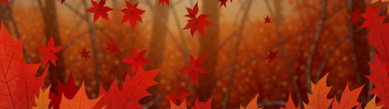 Autumn leaves falling season frame