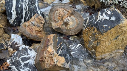The patterns, colors, and variety of ore content on the stones in the streambeds are indicators that gold may be present.