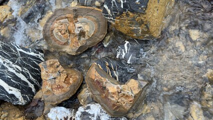The patterns, colors, and variety of ore content on the stones in the streambeds are indicators that gold may be present.