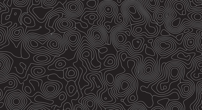 Monochrome topographic contour lines pattern design background in black and gray