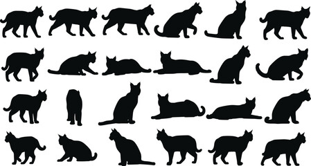 Large set of black cat silhouettes, domestic pet feline vector icons in walking sitting and lying poses for animal design © Robiul