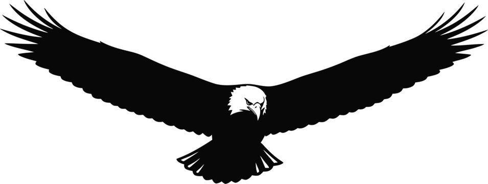 Majestic eagle soaring through the sky with outstretched wings in a dramatic vector illustration