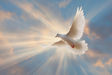 White Dove Symbol of the Holy Spirit