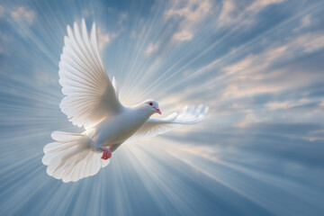 White Dove Symbol of the Holy Spirit