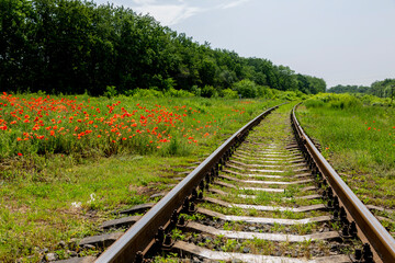 Fototapeta premium A fragment of a railroad track with rails