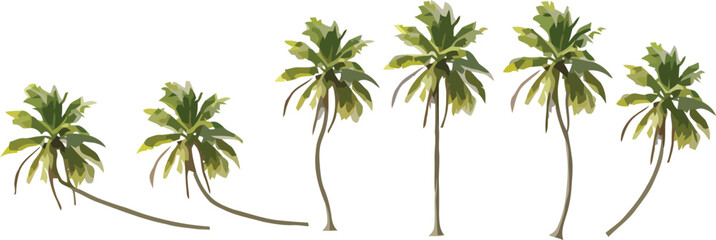 Obraz premium Collection of Stylized Palm Tree Vector Illustration Set for Tropical Design and Summer Vacation Graphics