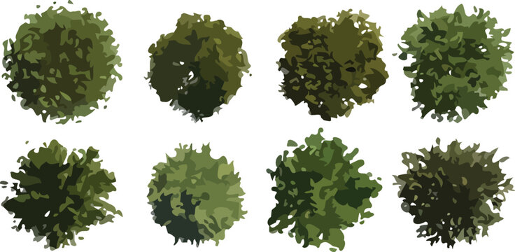Collection of stylized top view tree icons set for architectural plan and landscape design vector illustration
