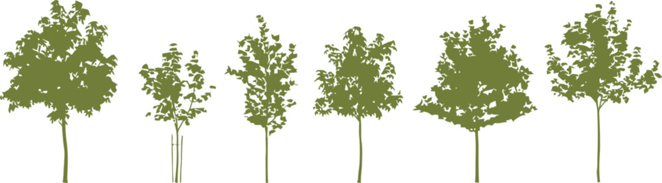 Green young trees silhouette set vector illustration for landscape design and environmental graphics. Simple flat graphic style.