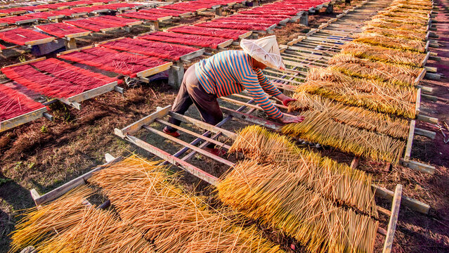 View of a worker carefully arranging golden incense on wooden frames, contrasting with rows of vibrant red incense drying under the sun, Xiapu, Fujian, China.